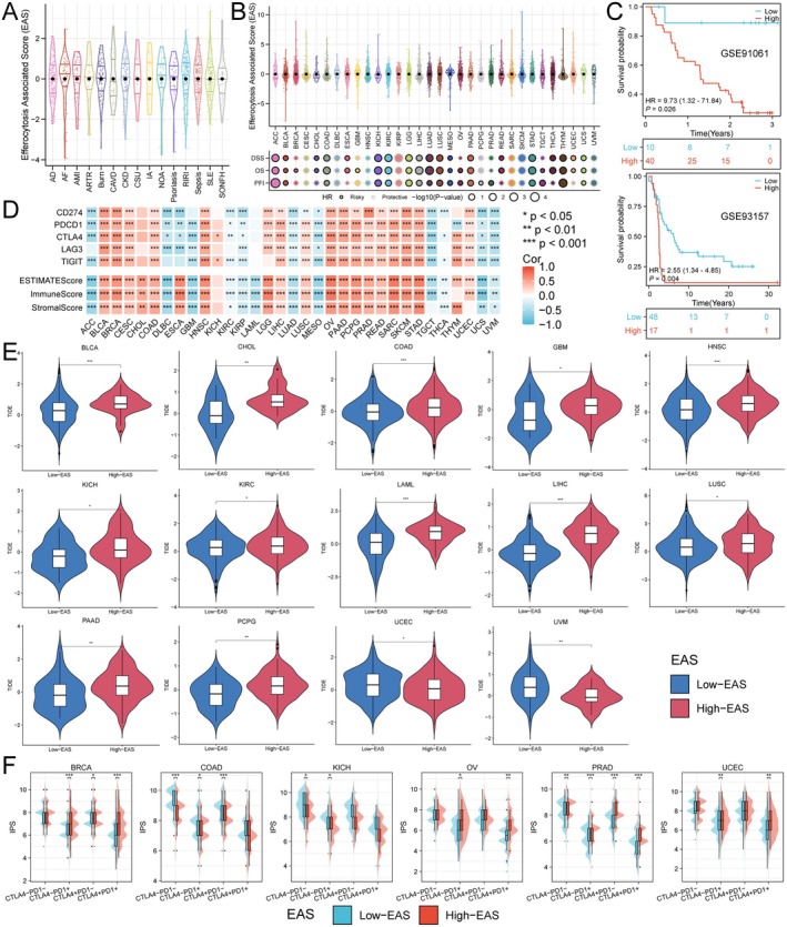 PMC12203409 – jcmm70671-fig-0005