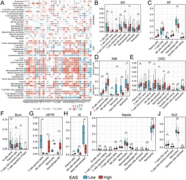 PMC12203409 – jcmm70671-fig-0006