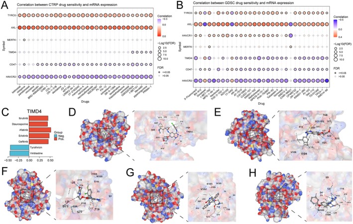 PMC12203409 – jcmm70671-fig-0007
