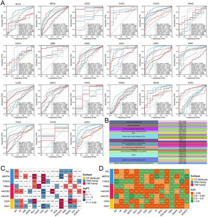 PMC12203409 – jcmm70671-fig-0003