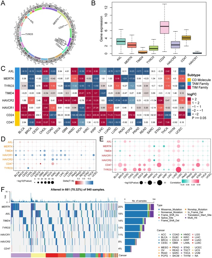 PMC12203409 – jcmm70671-fig-0001