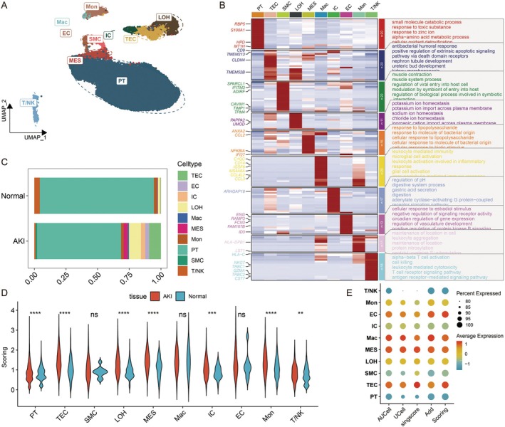 PMC12385122 – jcmm70801-fig-0001