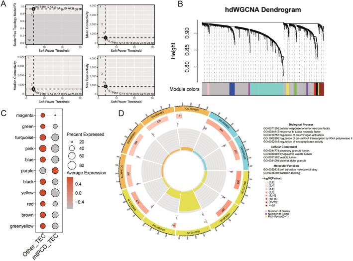 PMC12385122 – jcmm70801-fig-0003