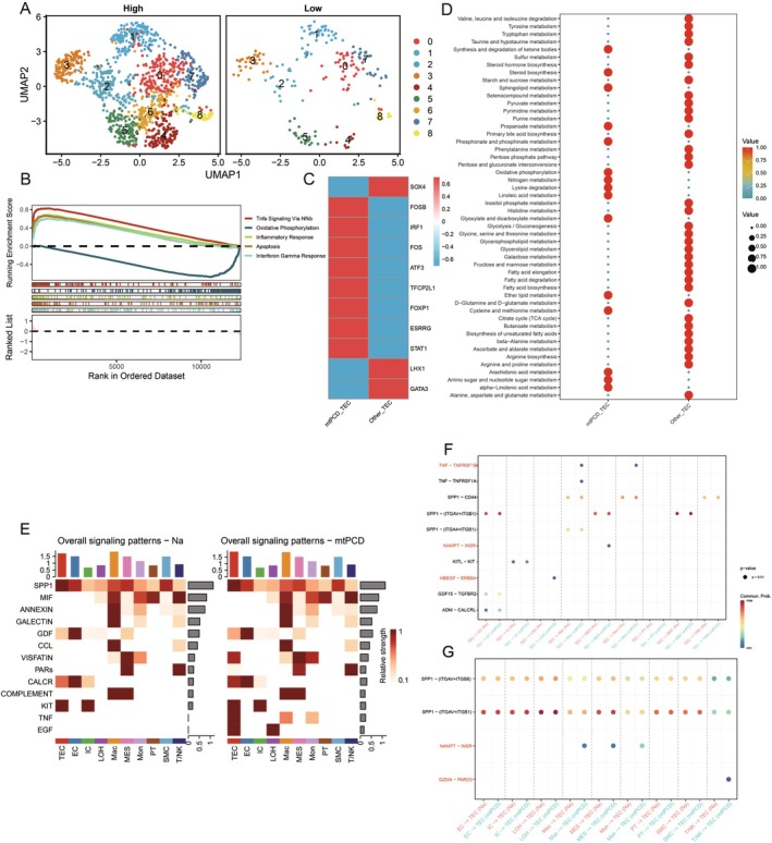 PMC12385122 – jcmm70801-fig-0002