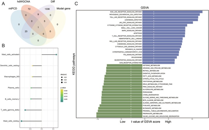 PMC12385122 – jcmm70801-fig-0006