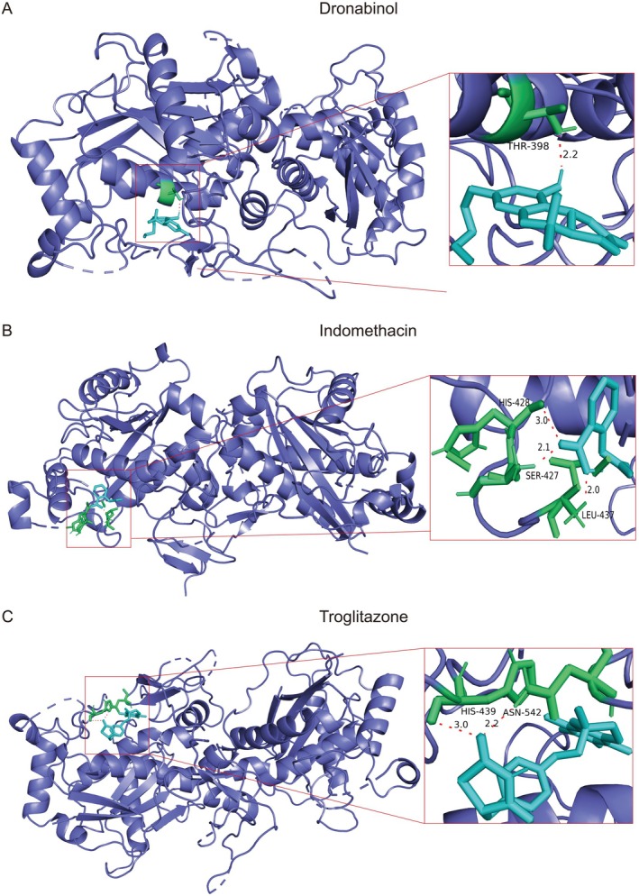 PMC12385122 – jcmm70801-fig-0007