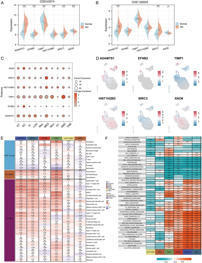 PMC12385122 – jcmm70801-fig-0005