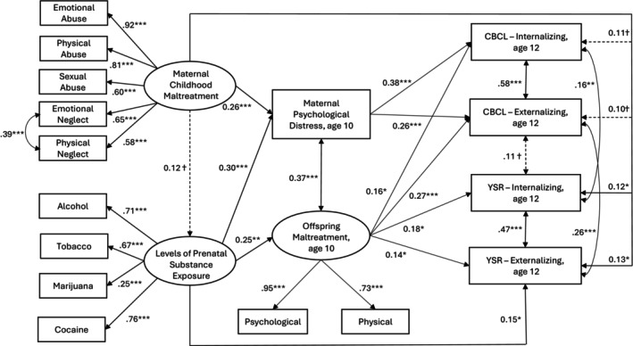 PMC12812793 – jcpp70030-fig-0001