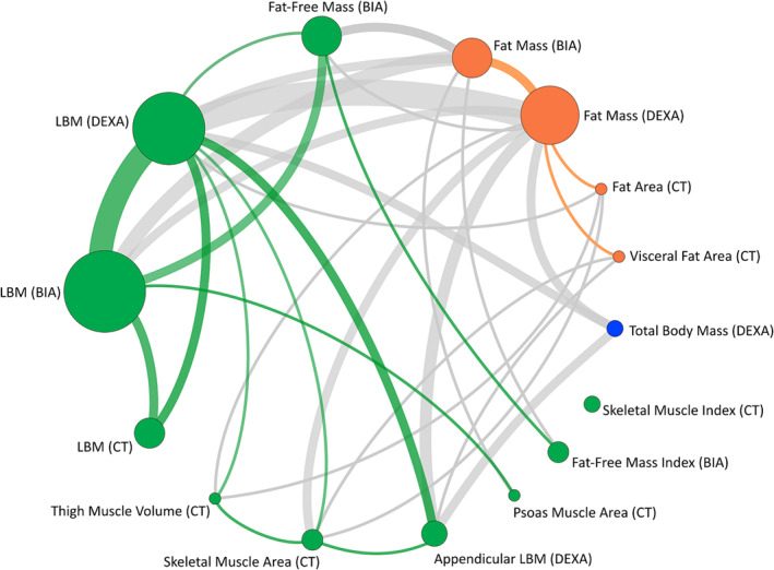 PMC11154800 – jcsm13478-fig-0006