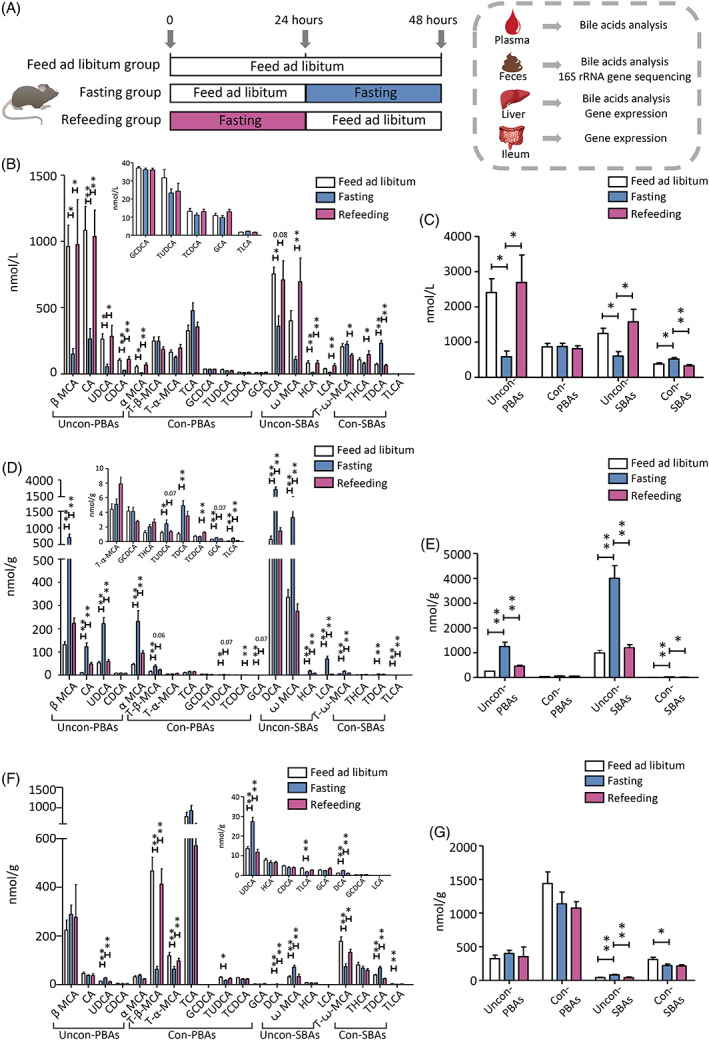 PMC9934961 – jdb13356-fig-0001
