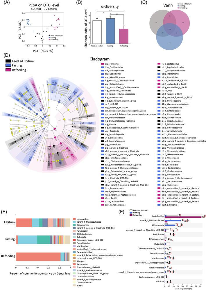 PMC9934961 – jdb13356-fig-0003