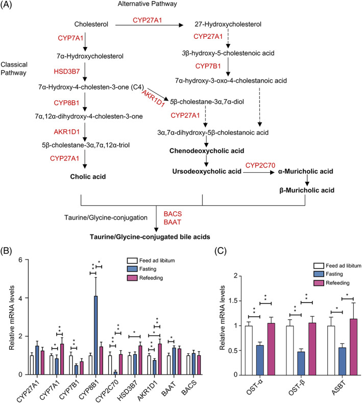 PMC9934961 – jdb13356-fig-0002
