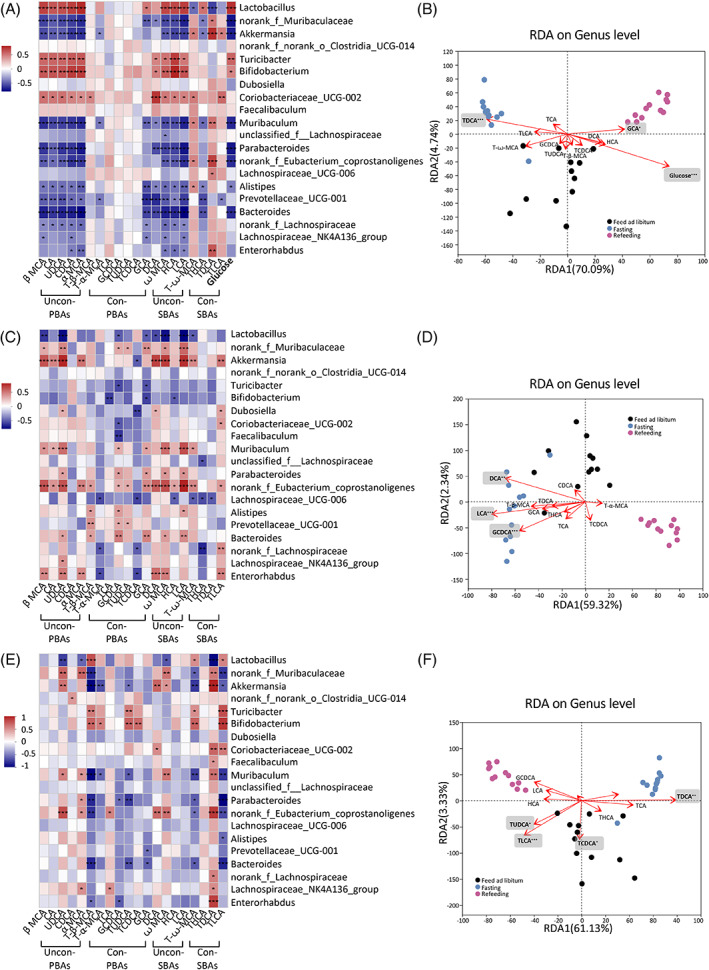 PMC9934961 – jdb13356-fig-0004