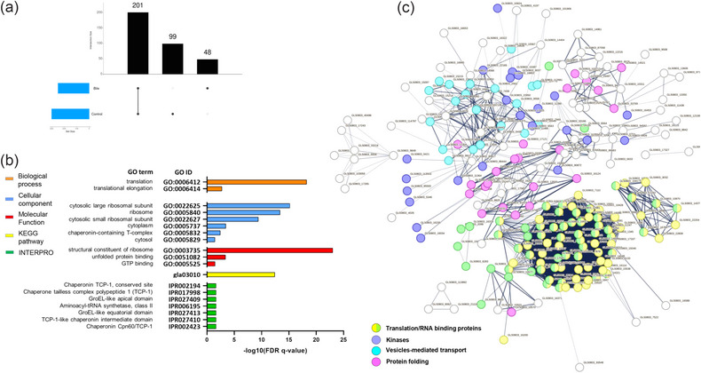 PMC11080815 – jex2109-fig-0003