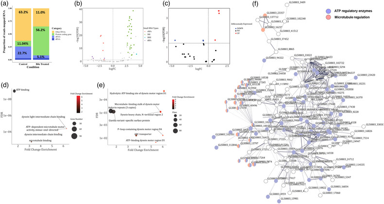 PMC11080815 – jex2109-fig-0002