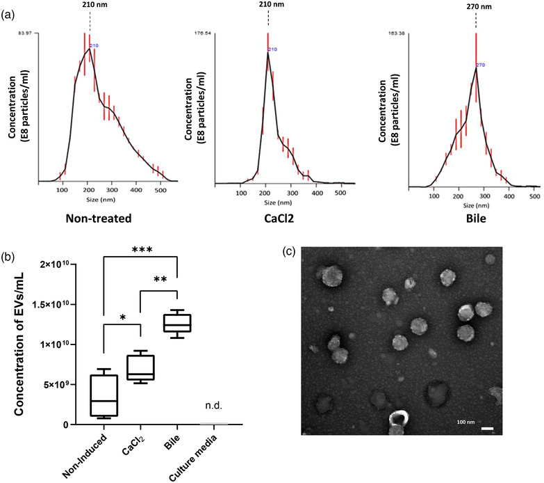 PMC11080815 – jex2109-fig-0001