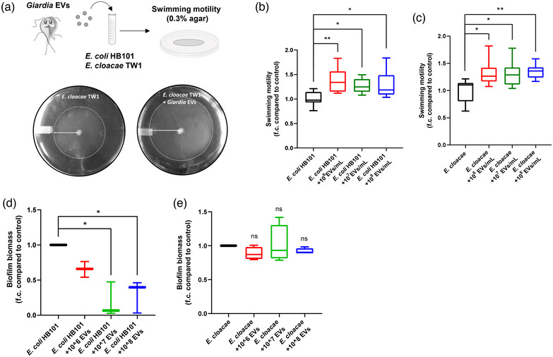 PMC11080815 – jex2109-fig-0004