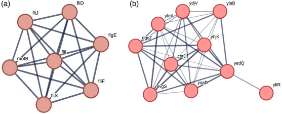 PMC11080815 – jex2109-fig-0009