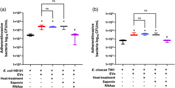 PMC11080815 – jex2109-fig-0008