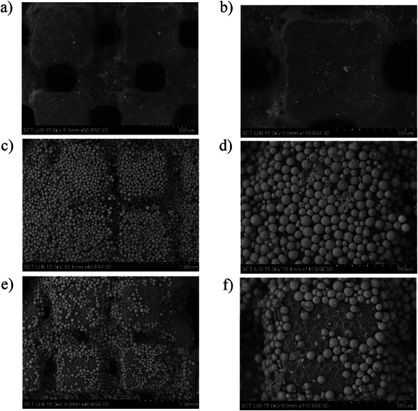 PMC12745918 – jfds70788-fig-0004