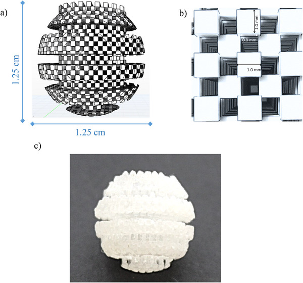 PMC12745918 – jfds70788-fig-0001