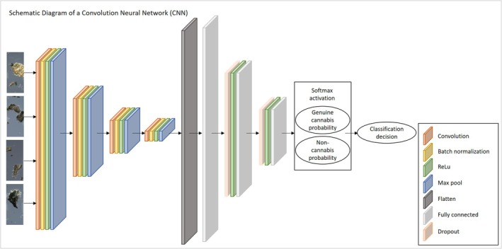 PMC12223337 – jfo70058-fig-0004