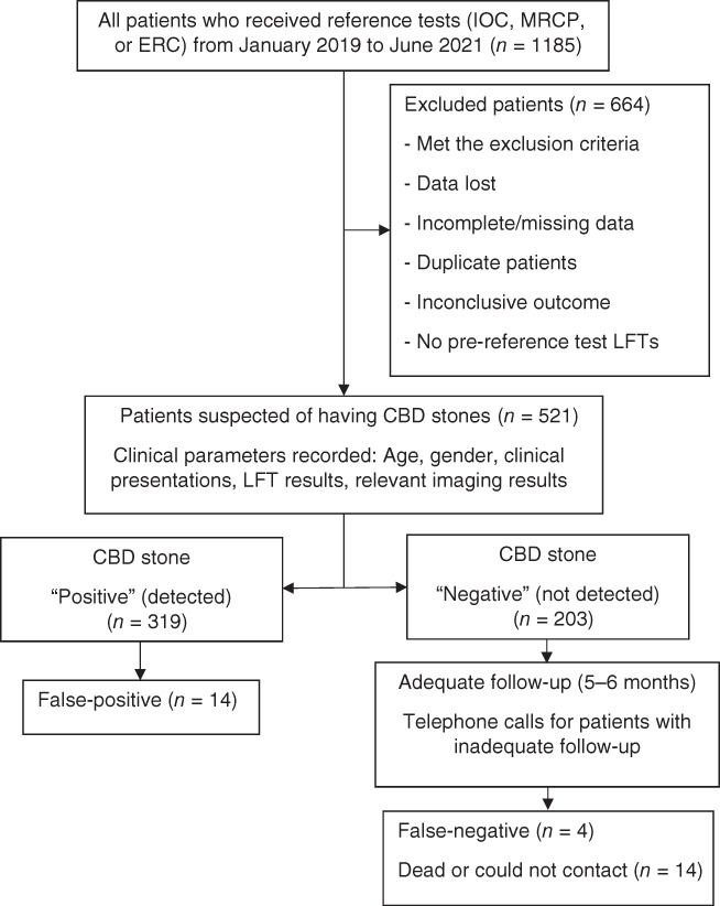 PMC9218518 – jgh312773-fig-0001