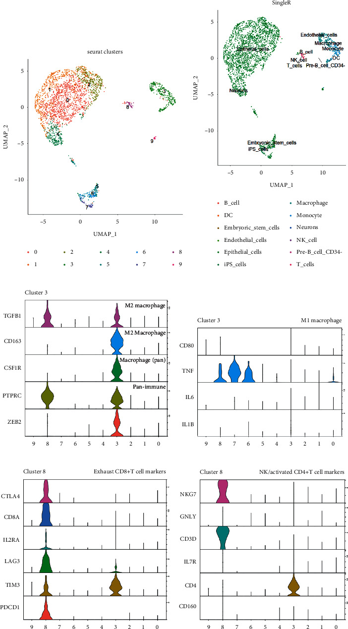 PMC8714326 – fig1