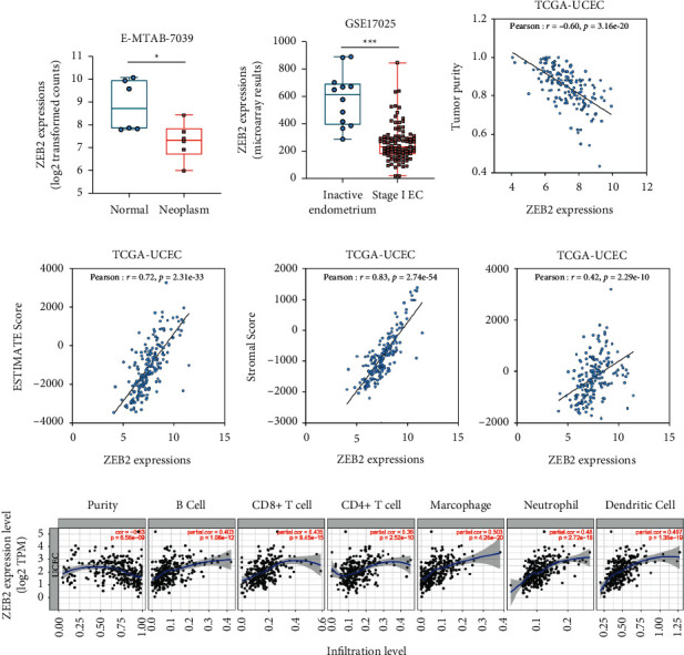 PMC8714326 – fig3