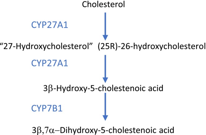 PMC12374088 – jimd70081-fig-0002