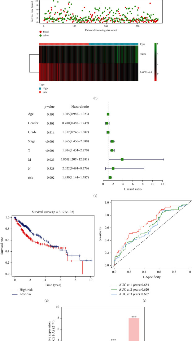 PMC8674649 – fig10