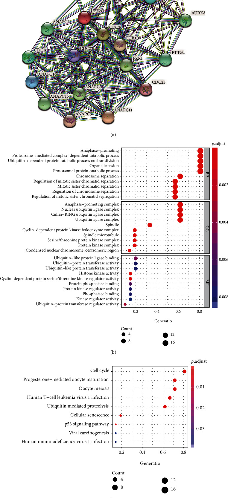 PMC8689232 – fig2