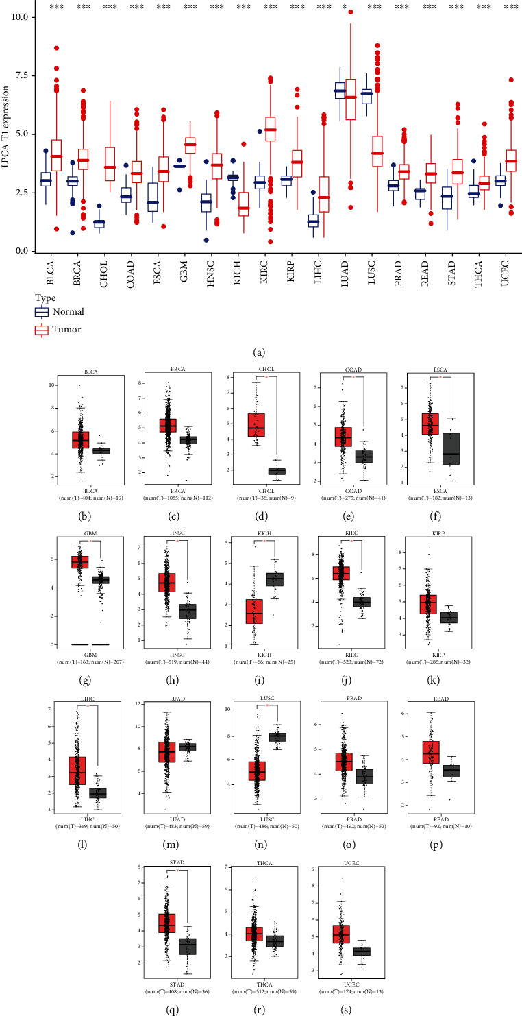 PMC9126685 – fig1