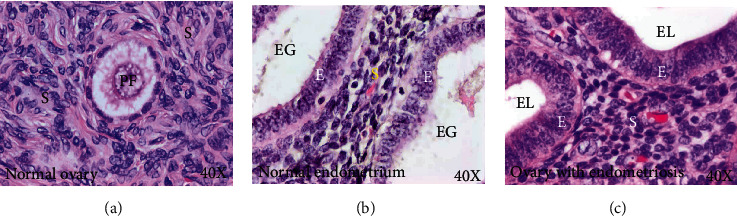 PMC9184153 – fig1