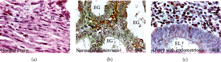PMC9184153 – fig2