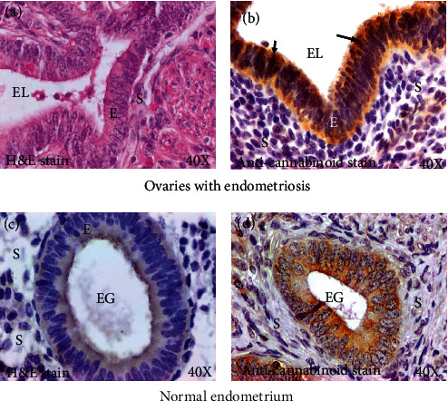 PMC9184153 – fig3