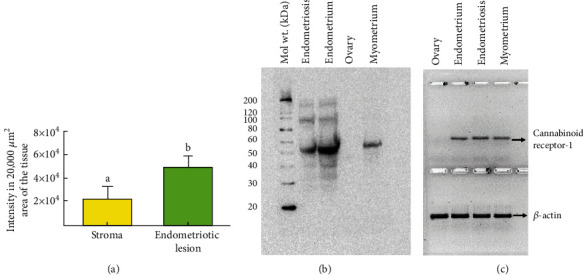 PMC9184153 – fig4