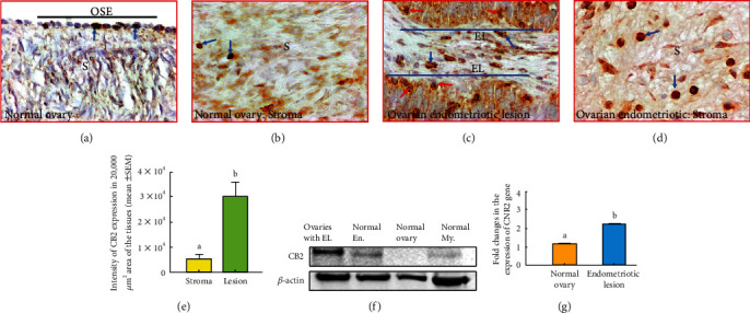 PMC9184153 – fig5
