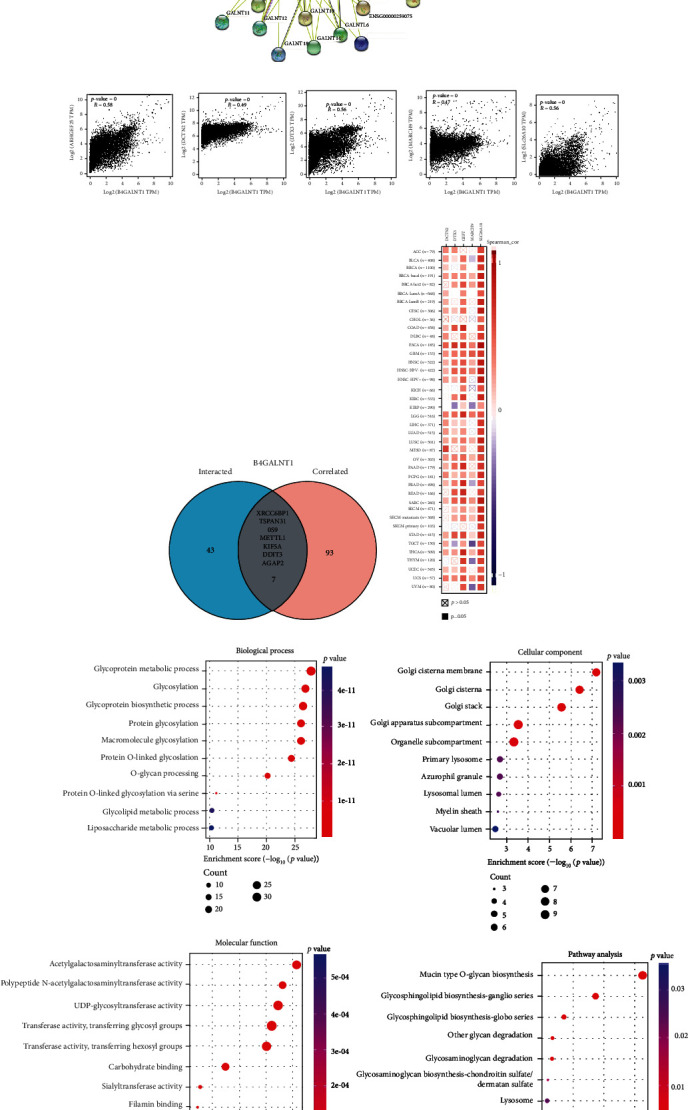PMC9352475 – fig11