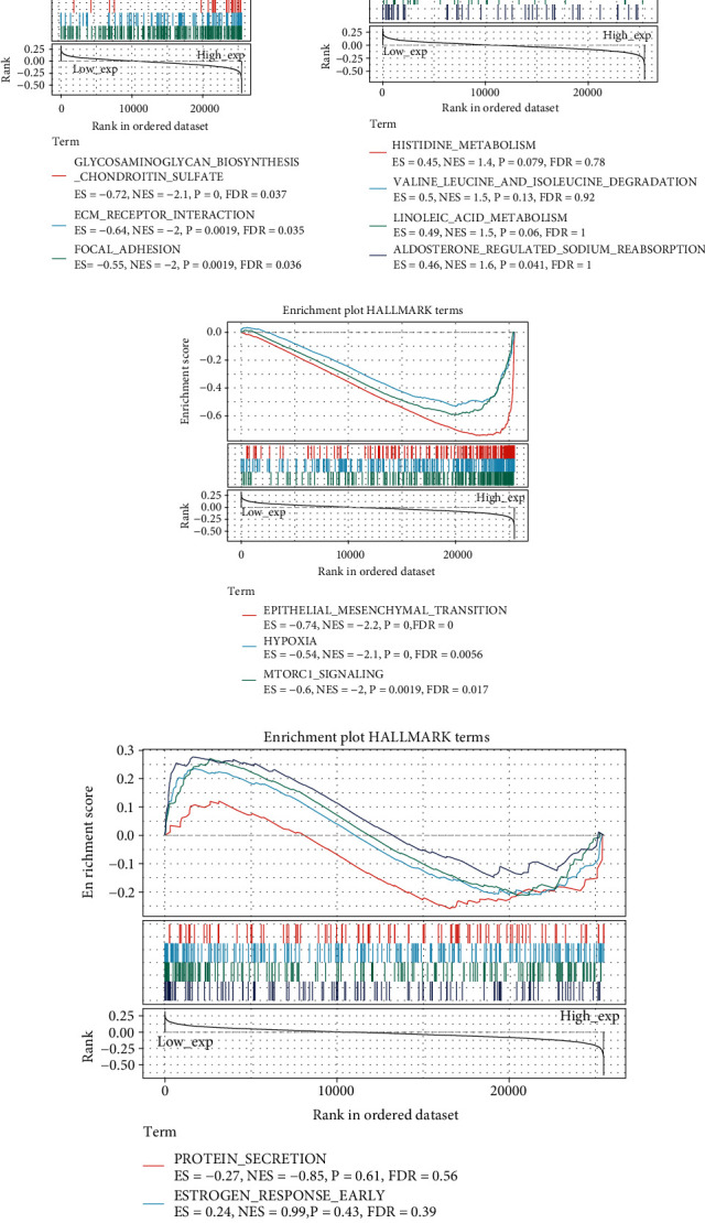PMC9352475 – fig12