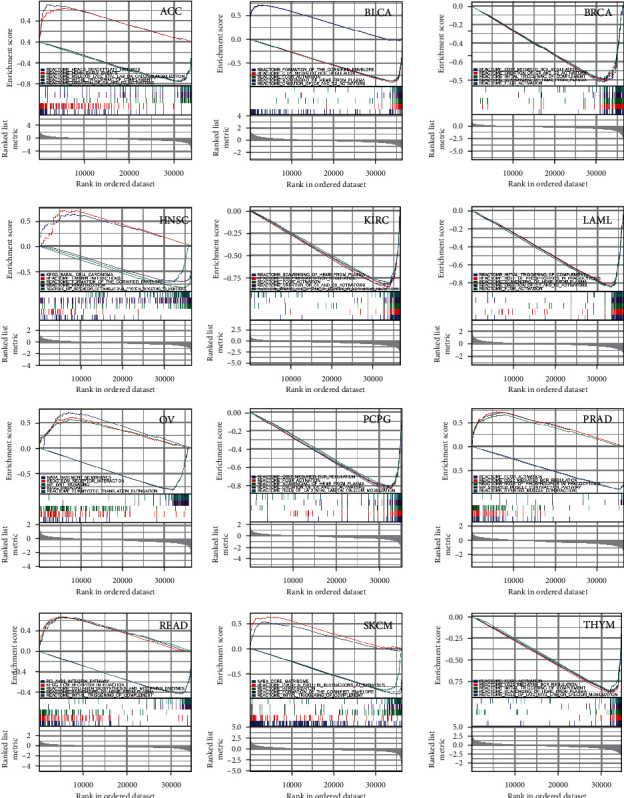 PMC9250692 – fig11