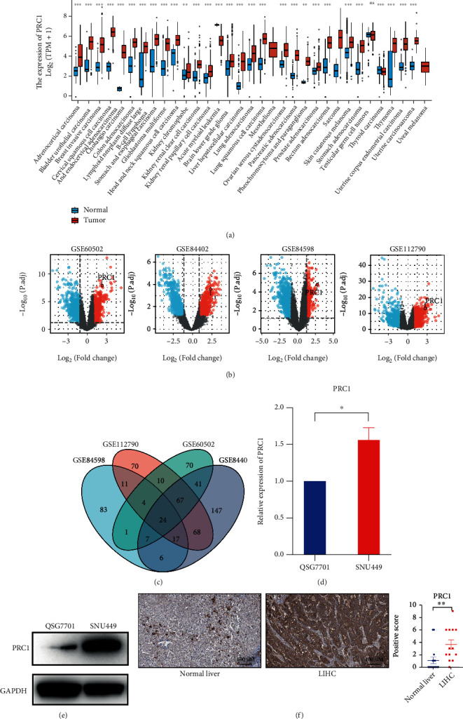 PMC9381293 – fig2