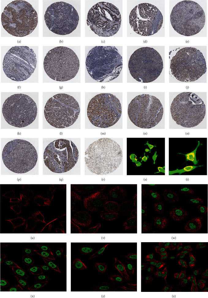 PMC11392580 – fig2