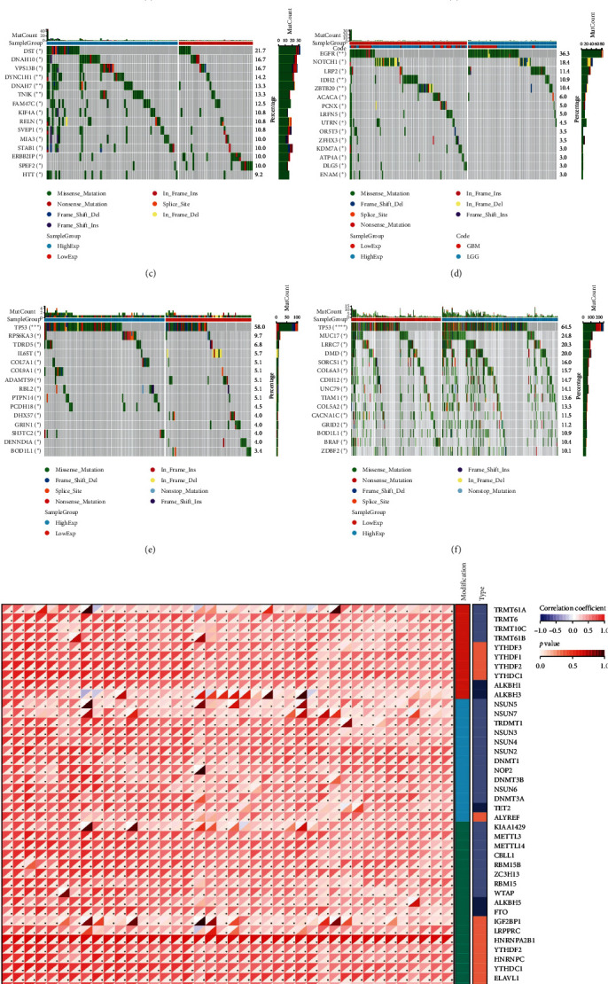 PMC11392580 – fig4