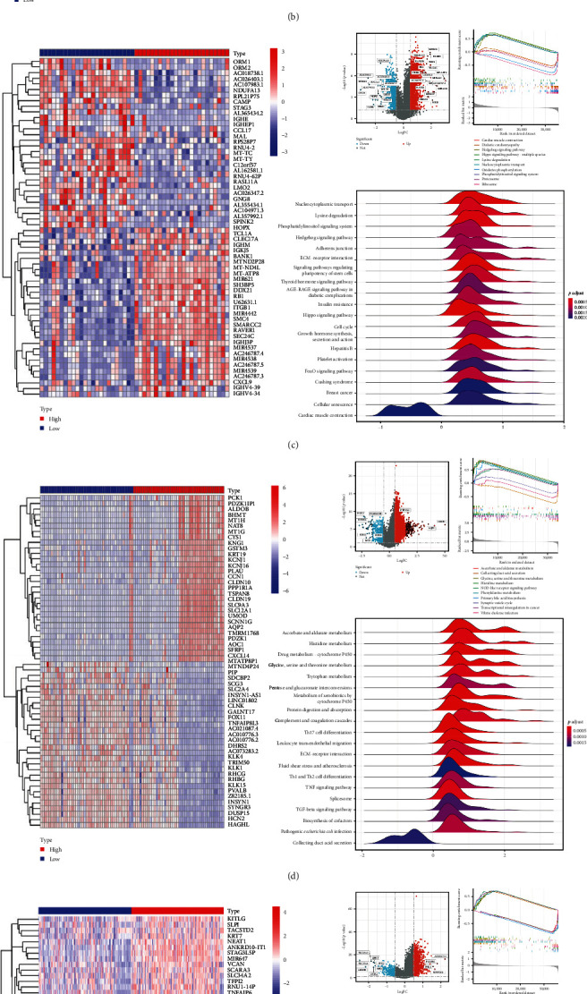PMC11392580 – fig7