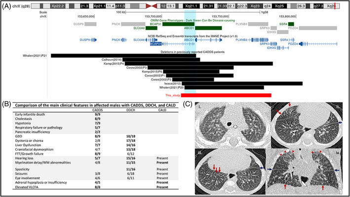 PMC10494507 – jmd212390-fig-0001