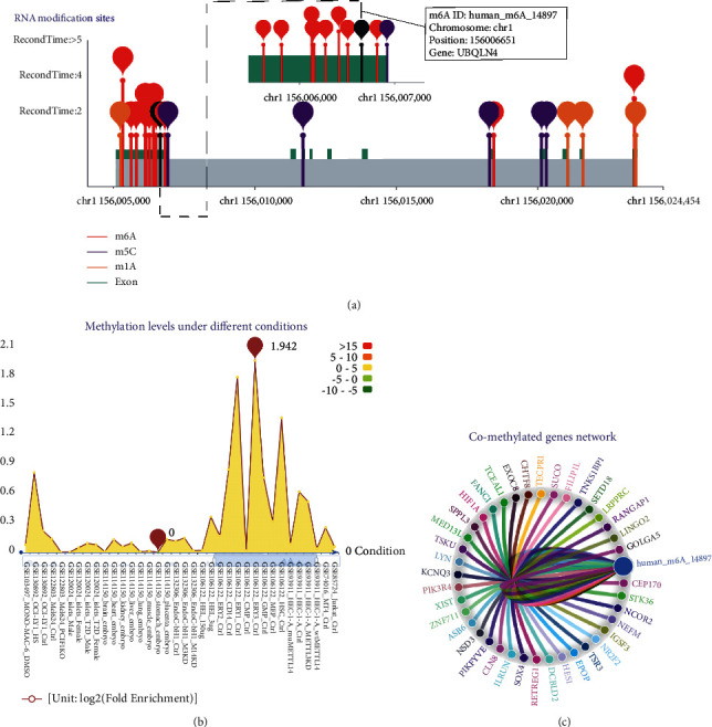 PMC8443395 – fig7