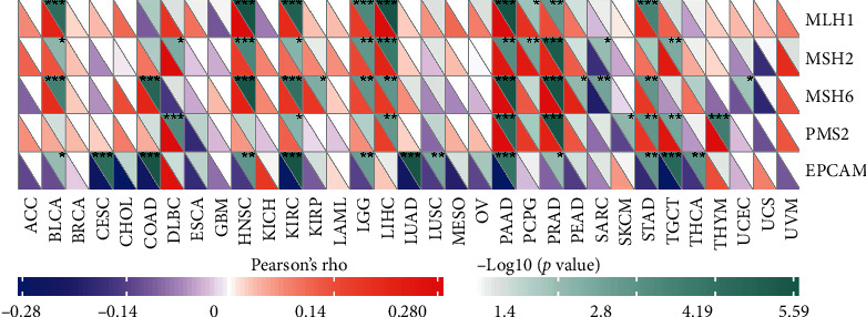 PMC9076360 – fig10