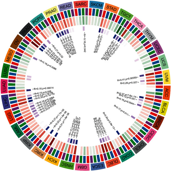 PMC9076360 – fig11