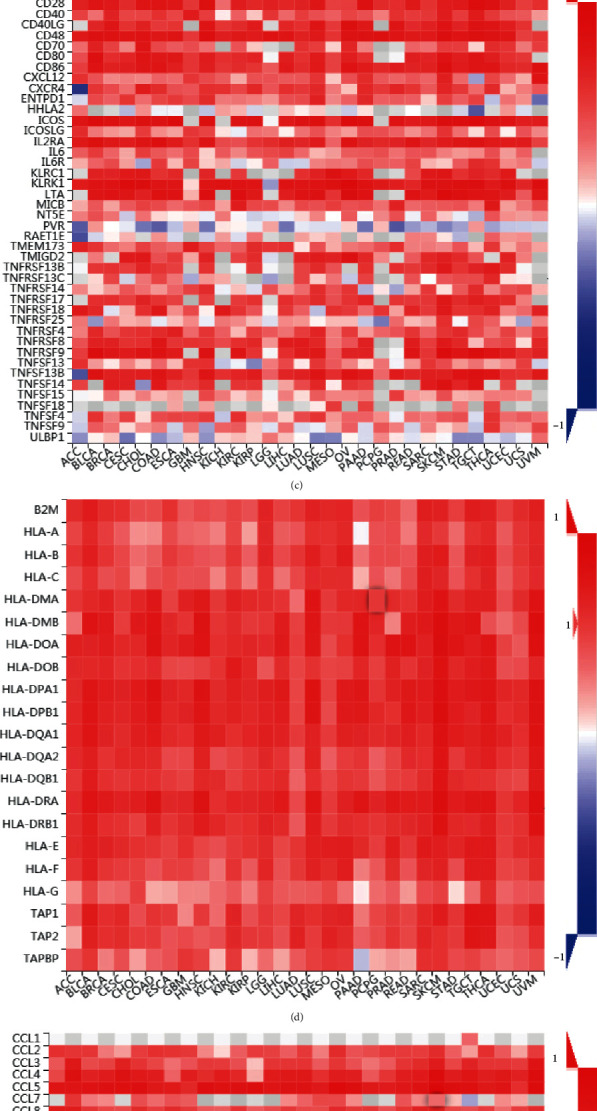 PMC9076360 – fig13